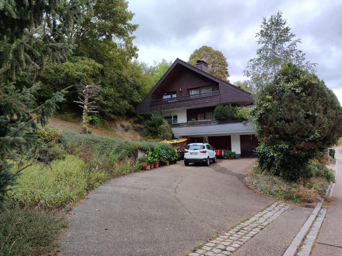 Feldbergsicht Lenzkirch Exterior foto