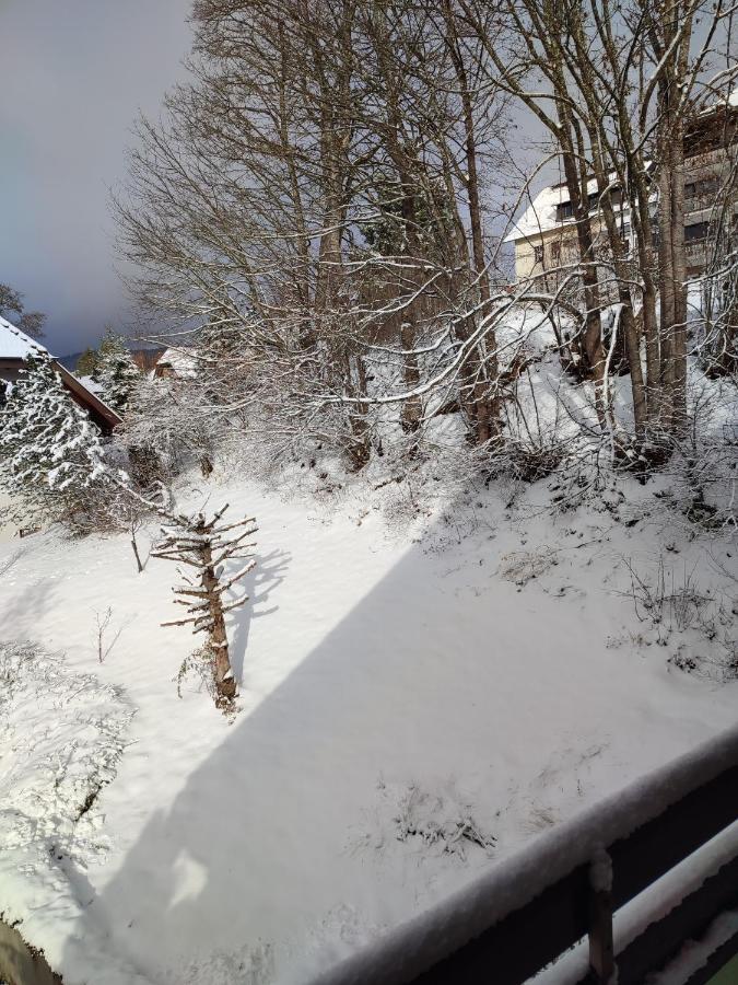 Feldbergsicht Lenzkirch Exterior foto